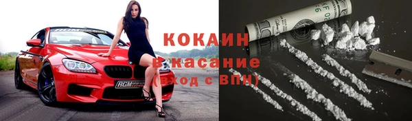 шишки Наволоки