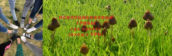 Альфа ПВП Навашино