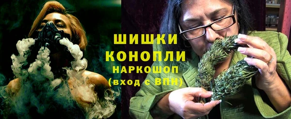 шишки Наволоки