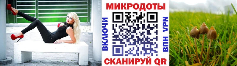 закладка  Барнаул  Галлюциногенные грибы GOLDEN TEACHER 